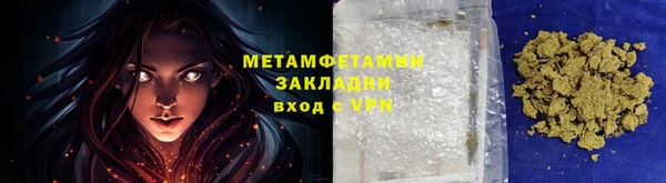 прущие грибы Саяногорск
