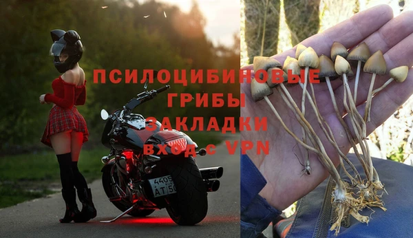 шишки Липки
