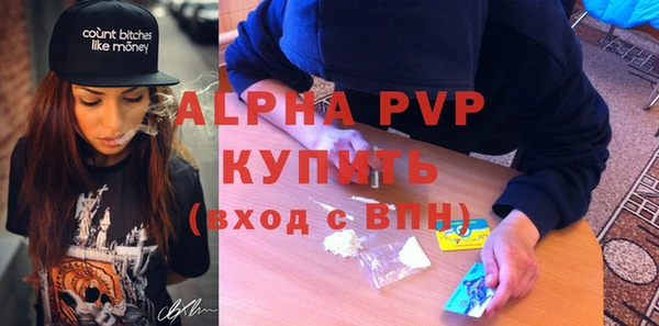стаф Ростов