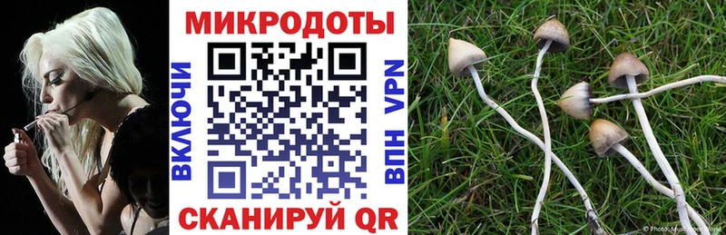 купить наркотик Сурск Псилоцибиновые грибы прущие грибы